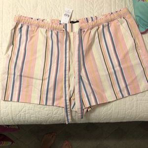Loft shorts size large new with tags